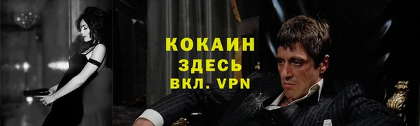 амф Алзамай