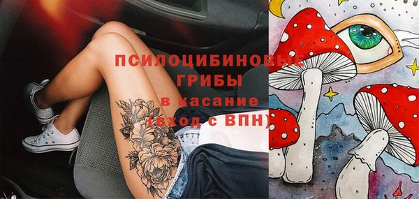 винт Алексин
