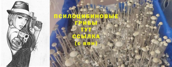 винт Алексин