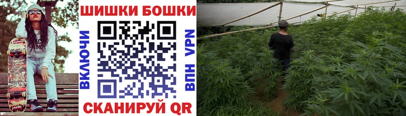 купить закладку  Бикин  Бошки марихуана Ganja 